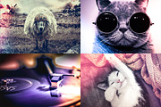 Light Leaks Vol.01- Lightroom Preset, an Action Add-On by CodePower (Thumbnail 2 of 4)