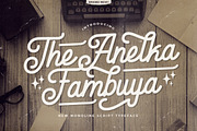 Anelka Fambuya - Monoline Retro Font, a Script Font by StringLabs (Thumbnail 1 of 14)