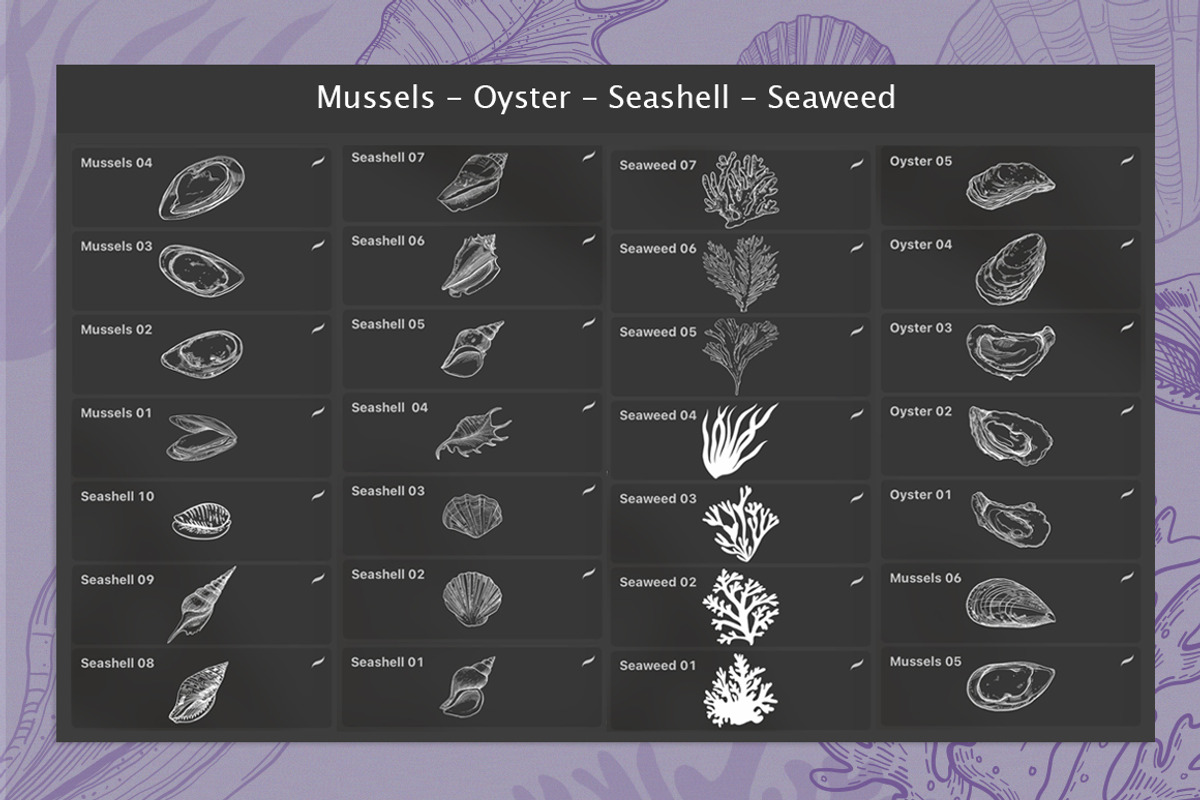 Procreate - Seashell Stamps, a Brush Add-On by ms Julia Nova (Photo 3 of 4)