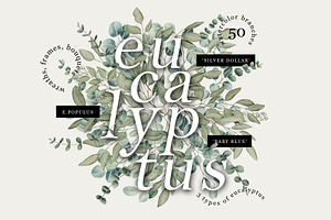 Eucalyptus – Watercolor Collection