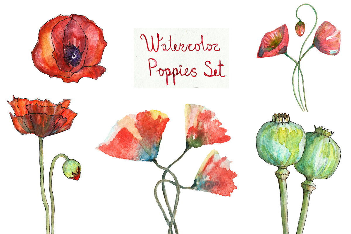Bundle offer of watercolors, an Animal Illustration by Watercolor_Vector Graphic (Photo 10 of 27)