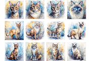 Watercolor Cat Breed Illustrations, an Animal Illustration by Palleon (Thumbnail 7 of 7)