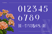 Hepab - Branding Logo Font, a Serif Font by Nirmana Visual (Thumbnail 10 of 10)