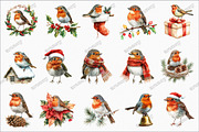 Christmas Robin Bird Clipart, an Illustration by designcity5 (Thumbnail 2 of 5)
