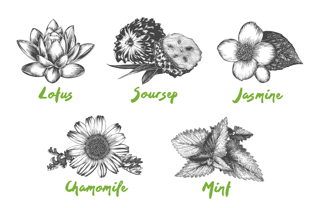 Set of 44 organic food objects, a Decorative Illustration by Akimo Mia (Photo 8 of 10)