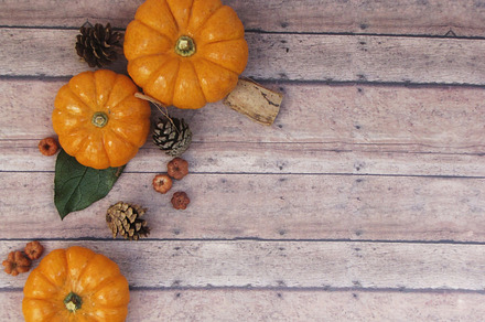 Autumn Pumpkin Scene