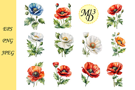 Set of 21 watercolor poppy flower
