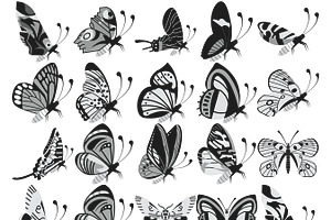 Butterflies Set 1-5 Procreate Brush