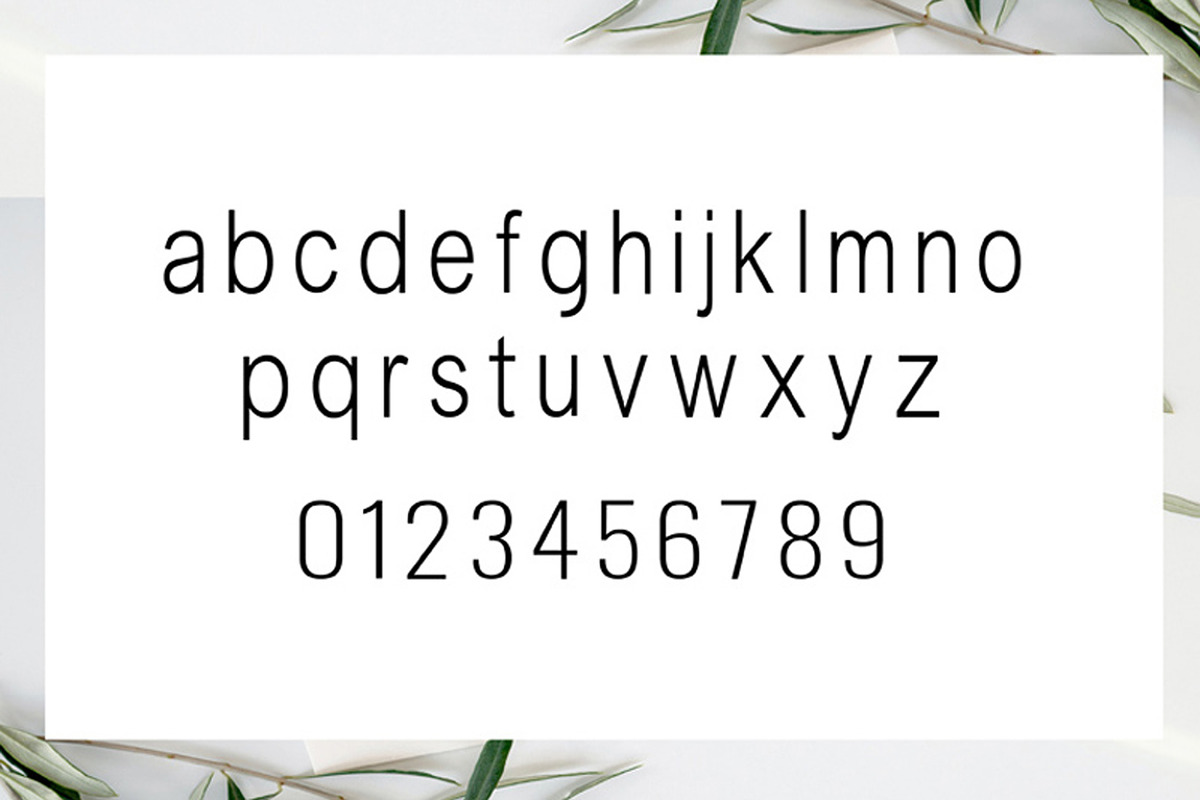 Slovenia, a Sans Serif Font by edcreative (Photo 5 of 7)
