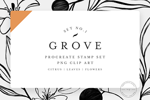 Grove Citrus Procreate Stamps + PNG