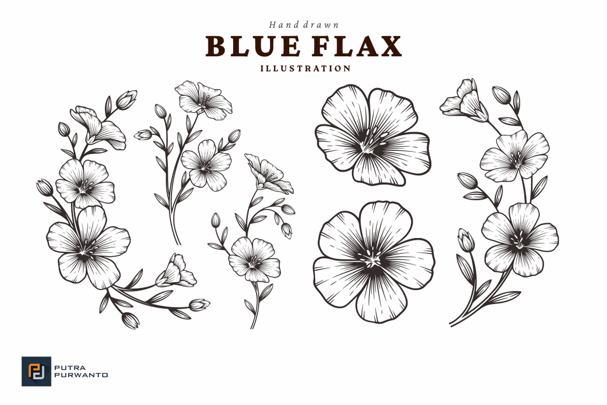 Blue Flax Flower Hand Drawn Illustra, an Object Graphic by putra_purwanto (Photo 2 of 2)