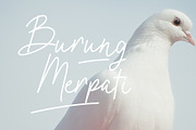 Oxlade Script Font, a Script Font by yellowline (Thumbnail 3 of 11)