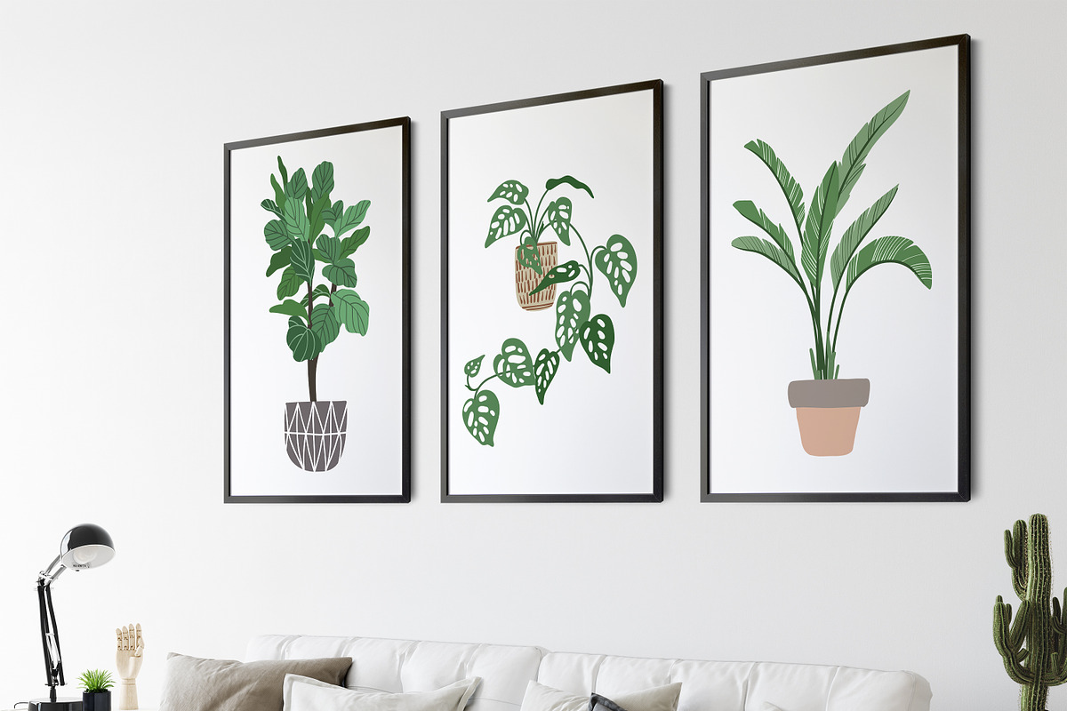 Indoor Plants, Vector Collection 2, an Object Graphic by JSolomatina (Photo 3 of 6)