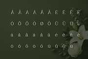 Clayton – Elegant Serif Typeface, a Serif Font by Webhance Studio (Thumbnail 5 of 10)