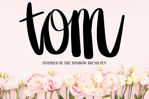 Tom Procreate Lettering Brush