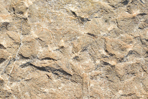 Macro detail background of irregular stone block, a Nature Photo by Davizro's Market