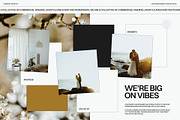 Flawless Bright - Lightroom Presets, a Preset Add-On by Truesight Supply Co. (Thumbnail 7 of 10)