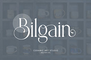 Aligin Serif - Modern Serif Font, a Serif Font by Idea Studio (Thumbnail 4 of 12)