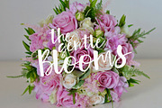 Orange Flower! Typeface with Extras, a Script Font by Anastasia Cuza (Thumbnail 4 of 9)