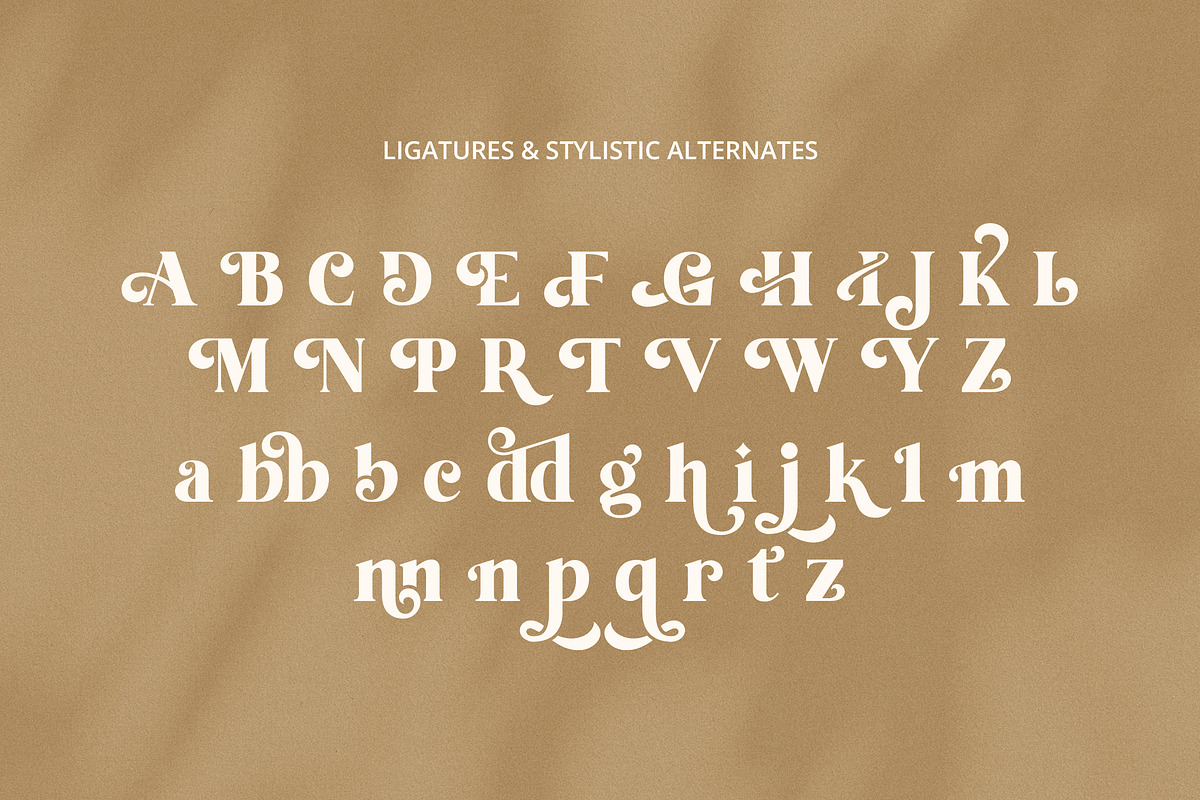 Tropical Garden font, a Serif Font by Davide Bassu (Photo 15 of 15)