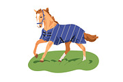 Horses, equine animals running set, an Animal Illustration by Good Studio (Thumbnail 12 of 13)