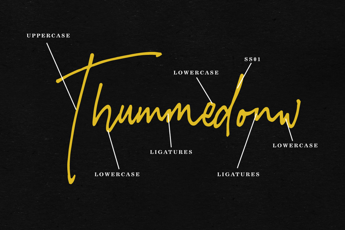 Imestaviga - Authentic Signature, a Script Font by tebaltipislab (Photo 8 of 11)