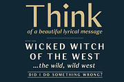 JT Douro Sans, a Sans Serif Font by JAM Type (Thumbnail 8 of 11)