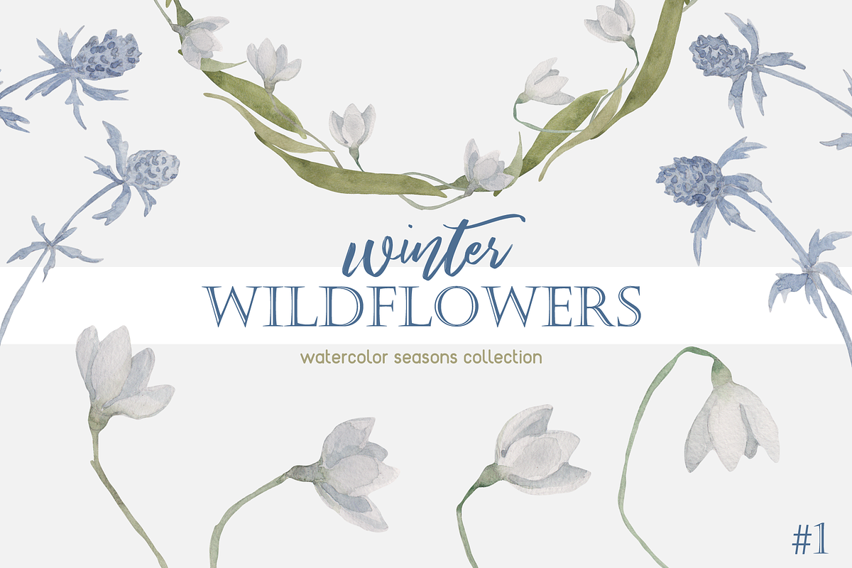Winter Wildflowers, an Illustration by Elisa Ursa (Photo 1 of 7)