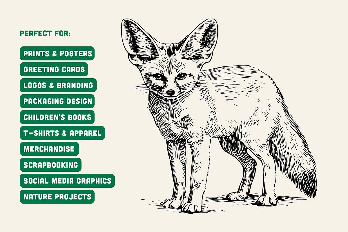 60 Wildlife Animal Illustrations, an Animal Illustration by Vectorian (Photo 6 of 6)