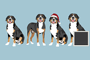 Greater Swiss Mountain Dog Clip Art, an Illustration by Putnam Road Art (Thumbnail 2 of 2)