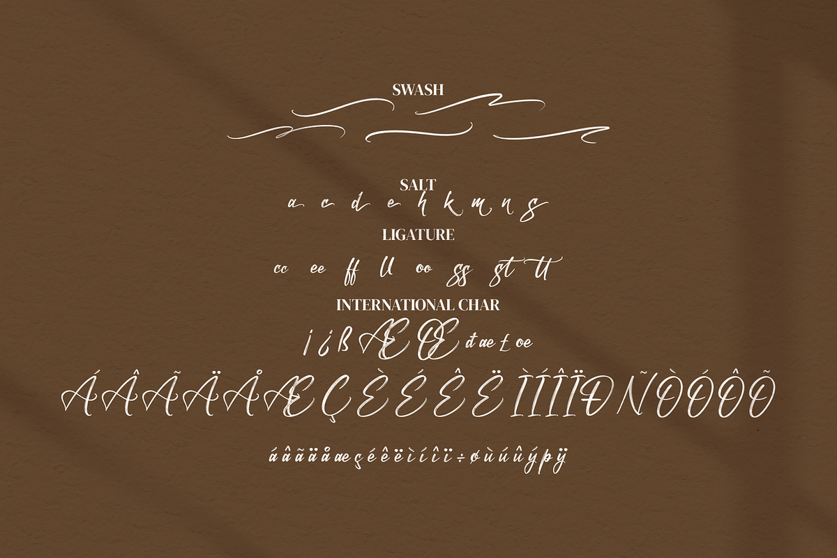 Besteec, a Script Font by Integritype Studio (Photo 8 of 8)