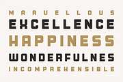 Junosky - Bold Font Family, a Sans Serif Font by alpercakici (Thumbnail 2 of 13)