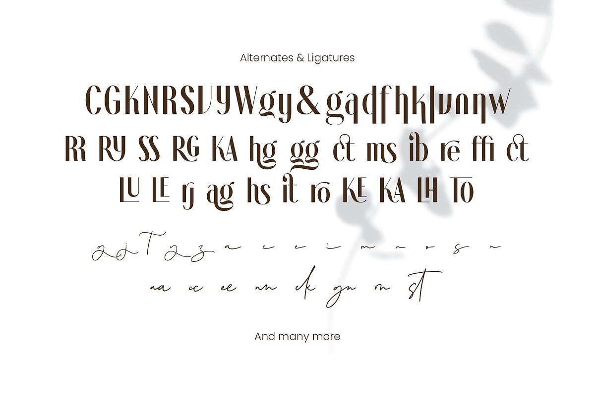 Novita Signora - Font Duo, a Sans Serif Font by Arterfak Project (Photo 14 of 15)