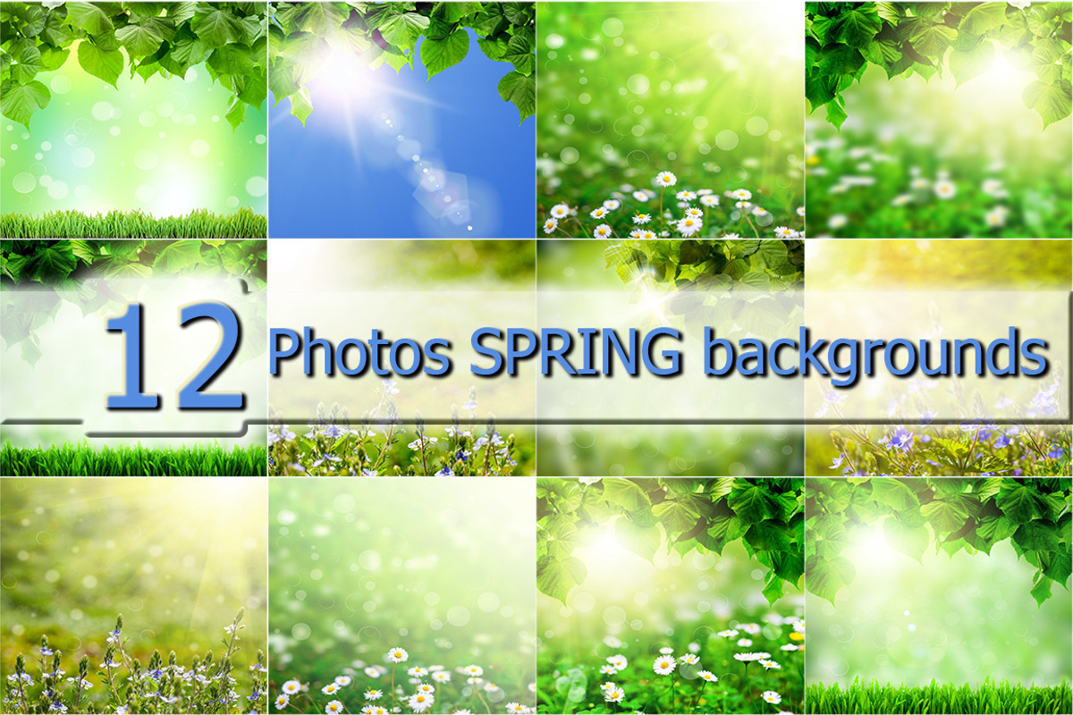 12 Spring Nature JPG Backgrounds, a Nature Photo by vovan (Photo 1 of 2)
