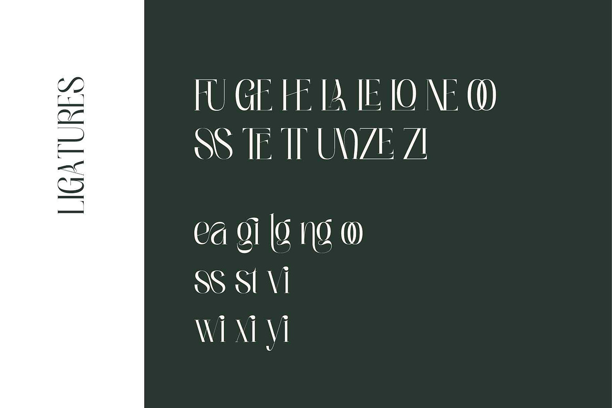Bagnolia - Serif Display, a Serif Font by Nirmana Visual (Photo 4 of 11)