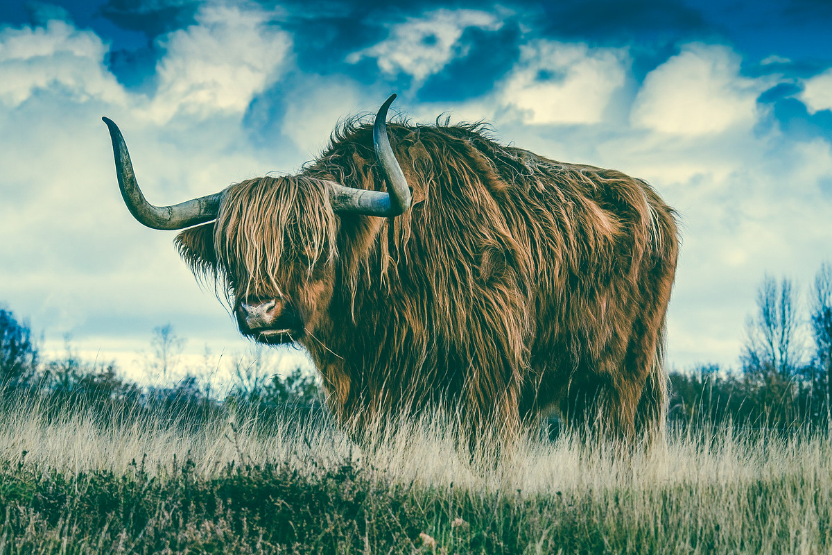 300 Professional Lightroom Presets, an Action Add-On by Madison Colt Studios (Photo 24 of 29)
