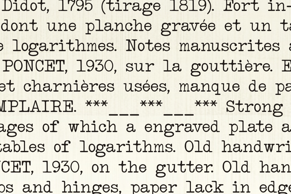 Intellecta Typewriter preview 2