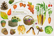 Forest Story Watercolor Collection, an Animal Illustration by Nastilustra (Thumbnail 3 of 8)