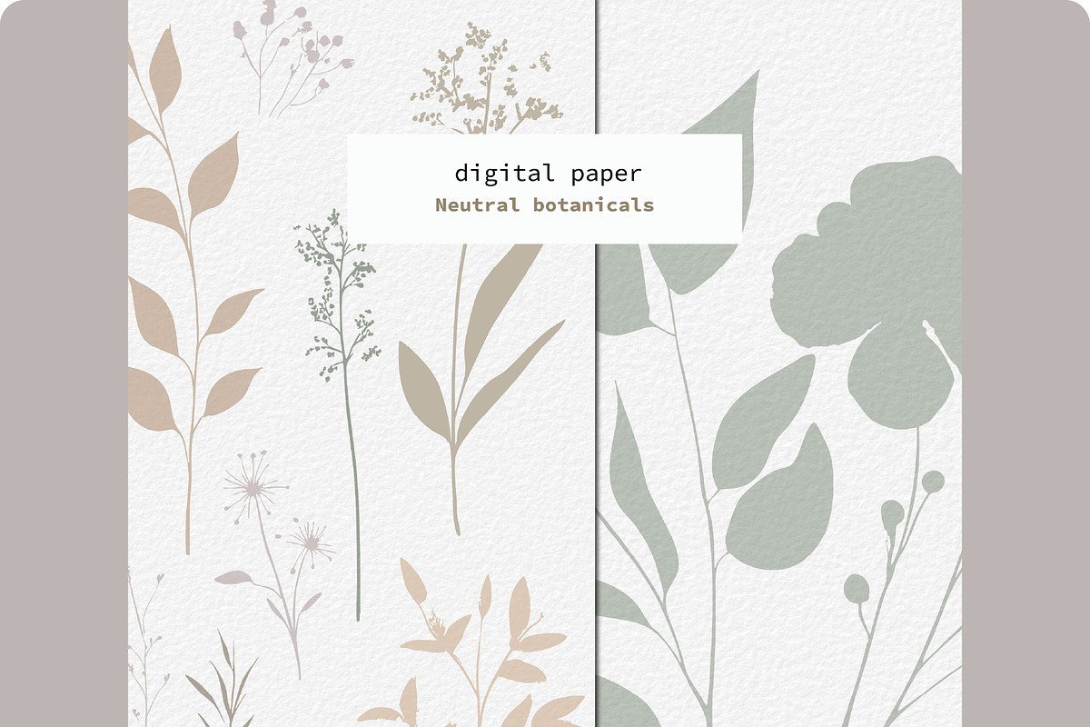 Neutral Botanical Backgrounds, a Background Graphic by Anna Sokol (Photo 3 of 10)