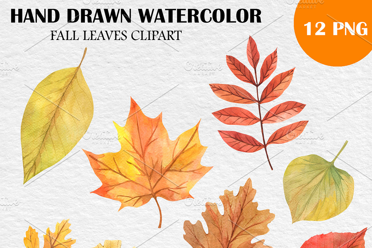 Watercolor Fall Leaves Clipart PNG, an Illustration by PatternPalette (Photo 2 of 2)