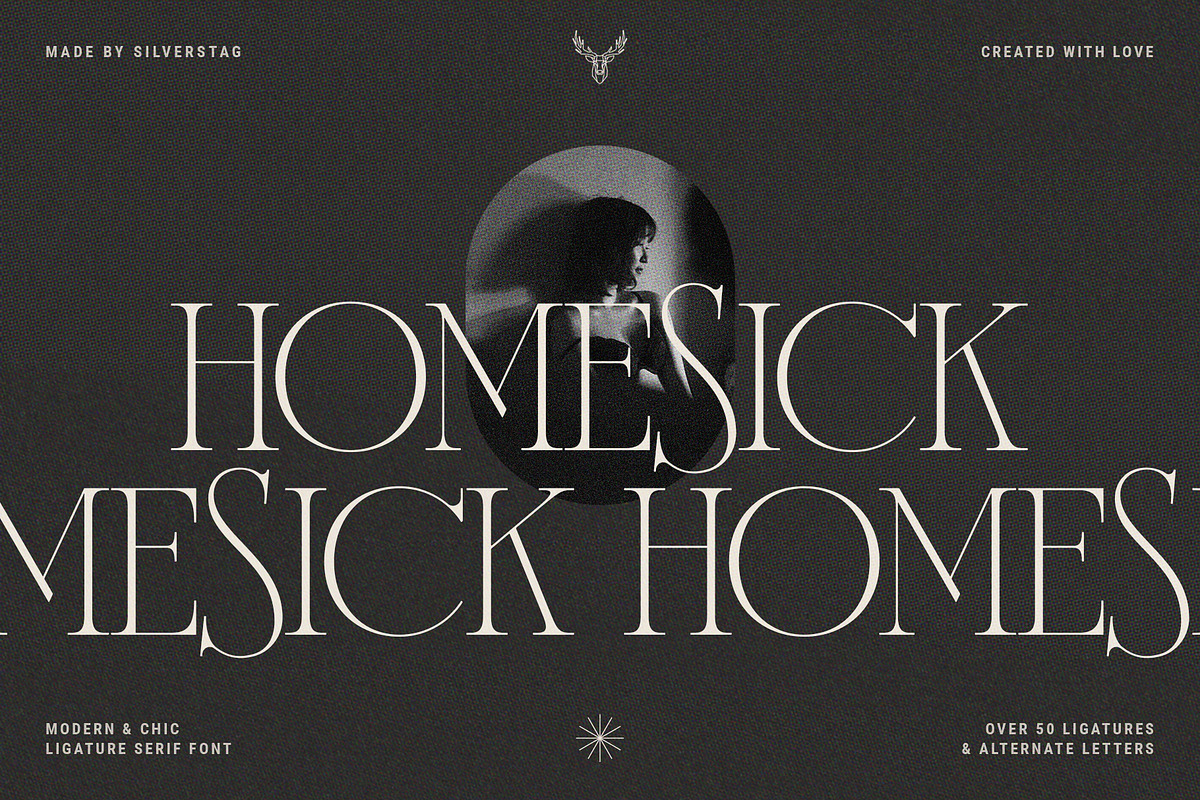 French Voyager - Chic Ligature Serif, a Serif Font by SilverStag Type Foundry (Photo 21 of 23)