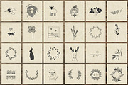 150 Hand Drawn Elements -Nature II-, an Animal Illustration by Michael Rayback Design (Thumbnail 4 of 8)