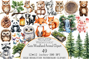 Cute Woodland Animal Clipart, a Seasonal Illustration by Design Market