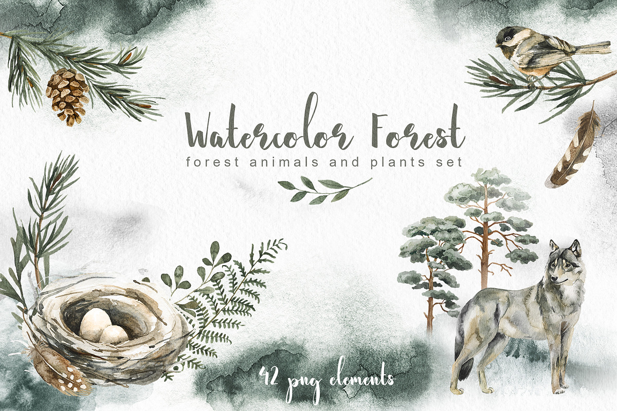 Watercolor forest Animals and Plants, an Animal Illustration by Alamella (Photo 1 of 7)