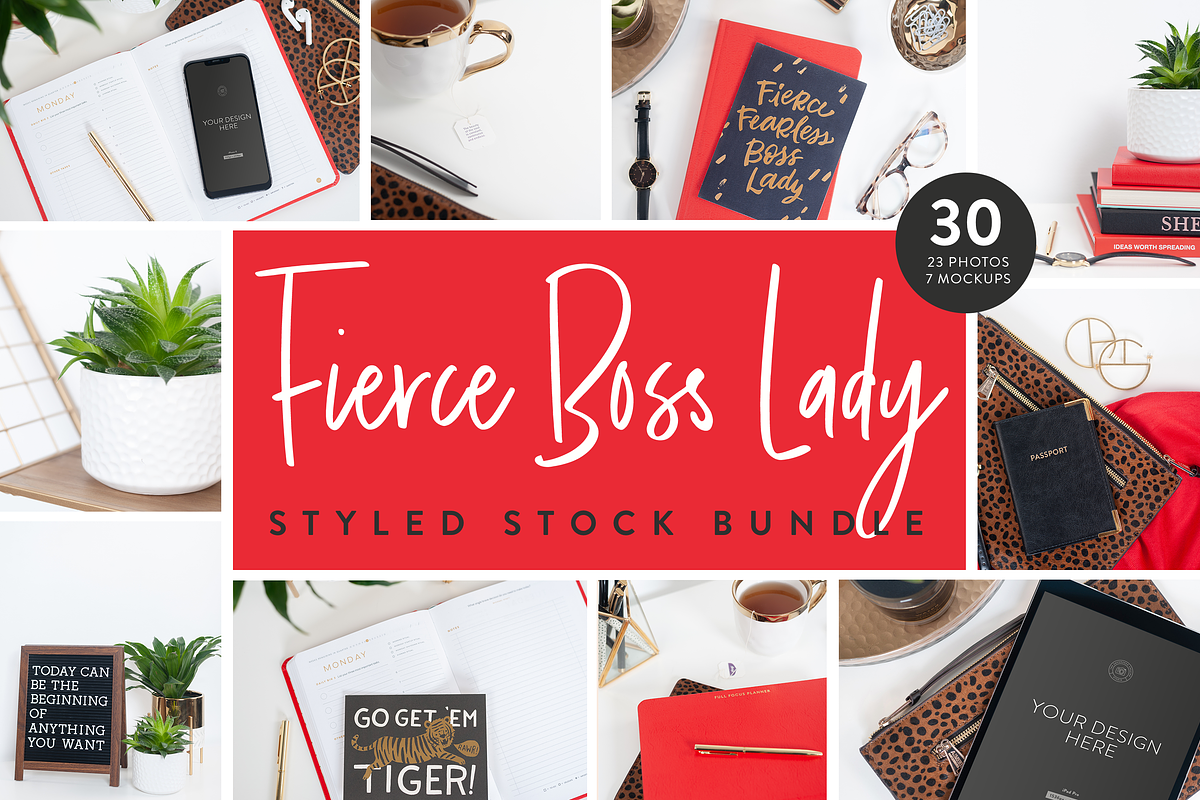 Fierce Boss Lady Styled Stock Bundle, a Photo by Jessica Rea (Photo 1 of 5)