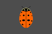 Seven Spot Ladybug Insect, a Solid Icon by Buqancreative (Thumbnail 2 of 2)