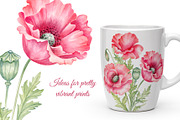 Wild flowers bundle, set Wildflowers, a Texture Illustration by MarinadeArt (Thumbnail 8 of 8)