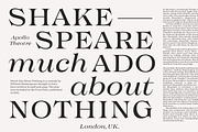 Imagist Intro Super Sale!, a Serif Font by Fenotype (Thumbnail 3 of 10)