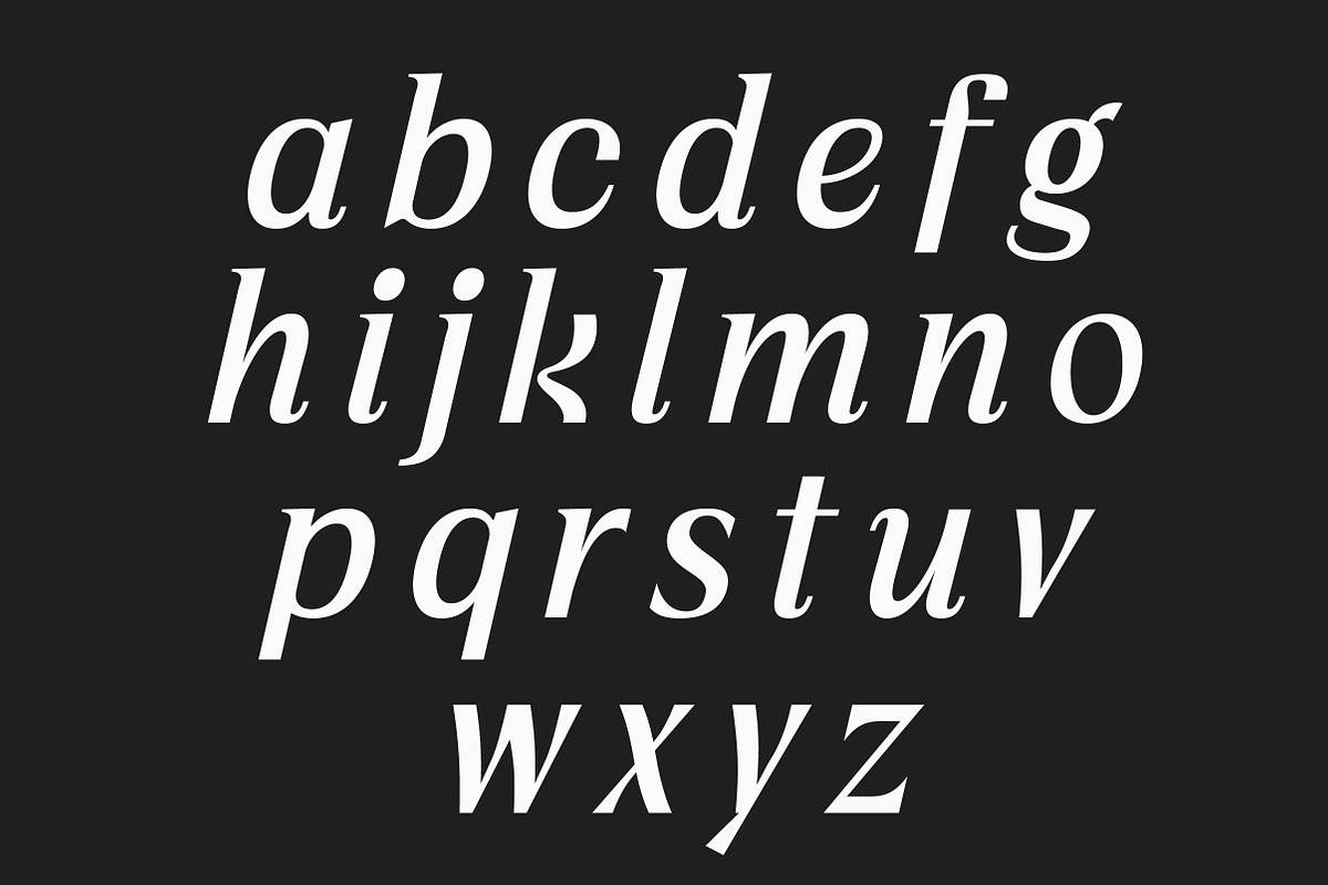 Vogera Minimal Editorial Serif, a Serif Font by Lettertype Studio (Photo 9 of 15)