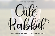 Cute Rabbit, a Handwritten Font by FreshTypeINK (Thumbnail 1 of 8)